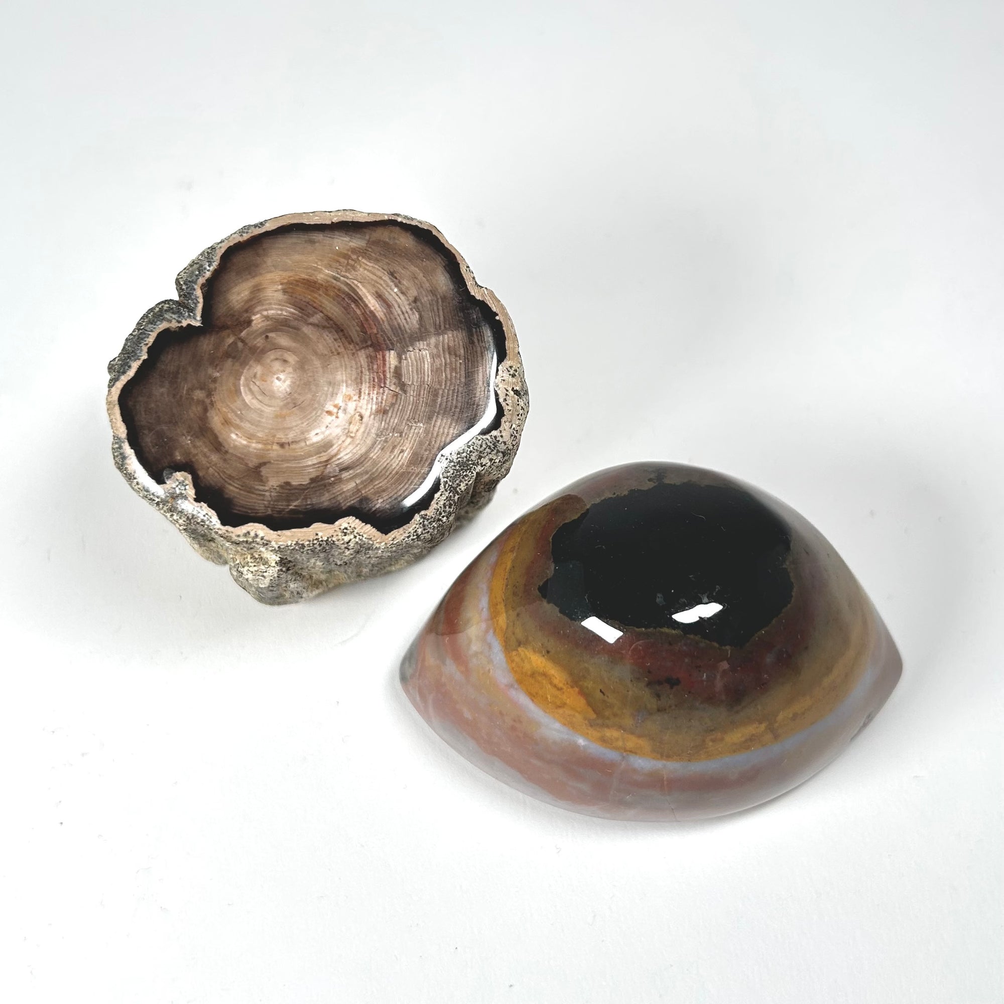 Petrified Wood Stump and Banded Agate Specimen Paperweight Set