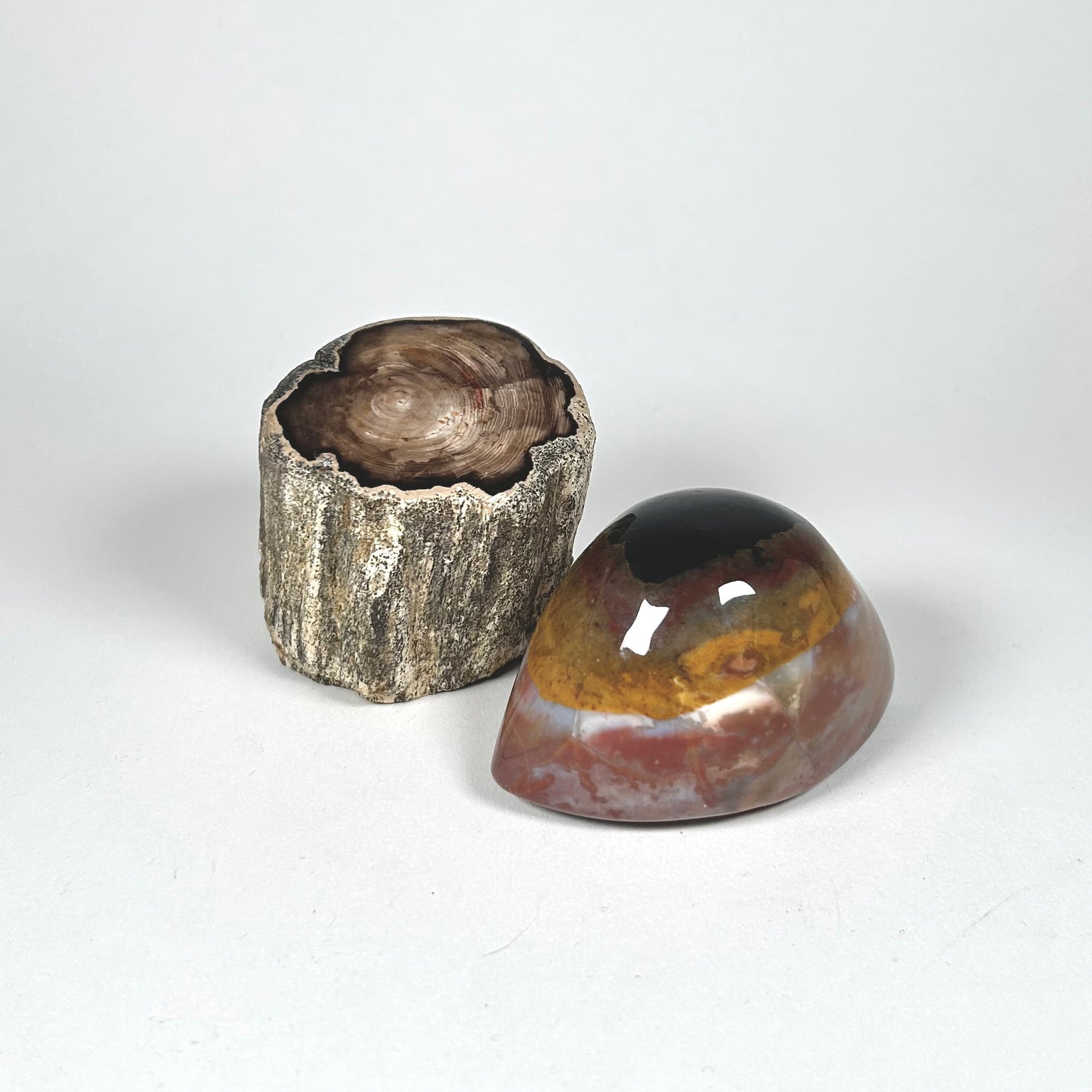 Petrified Wood Stump and Banded Agate Specimen Paperweight Set