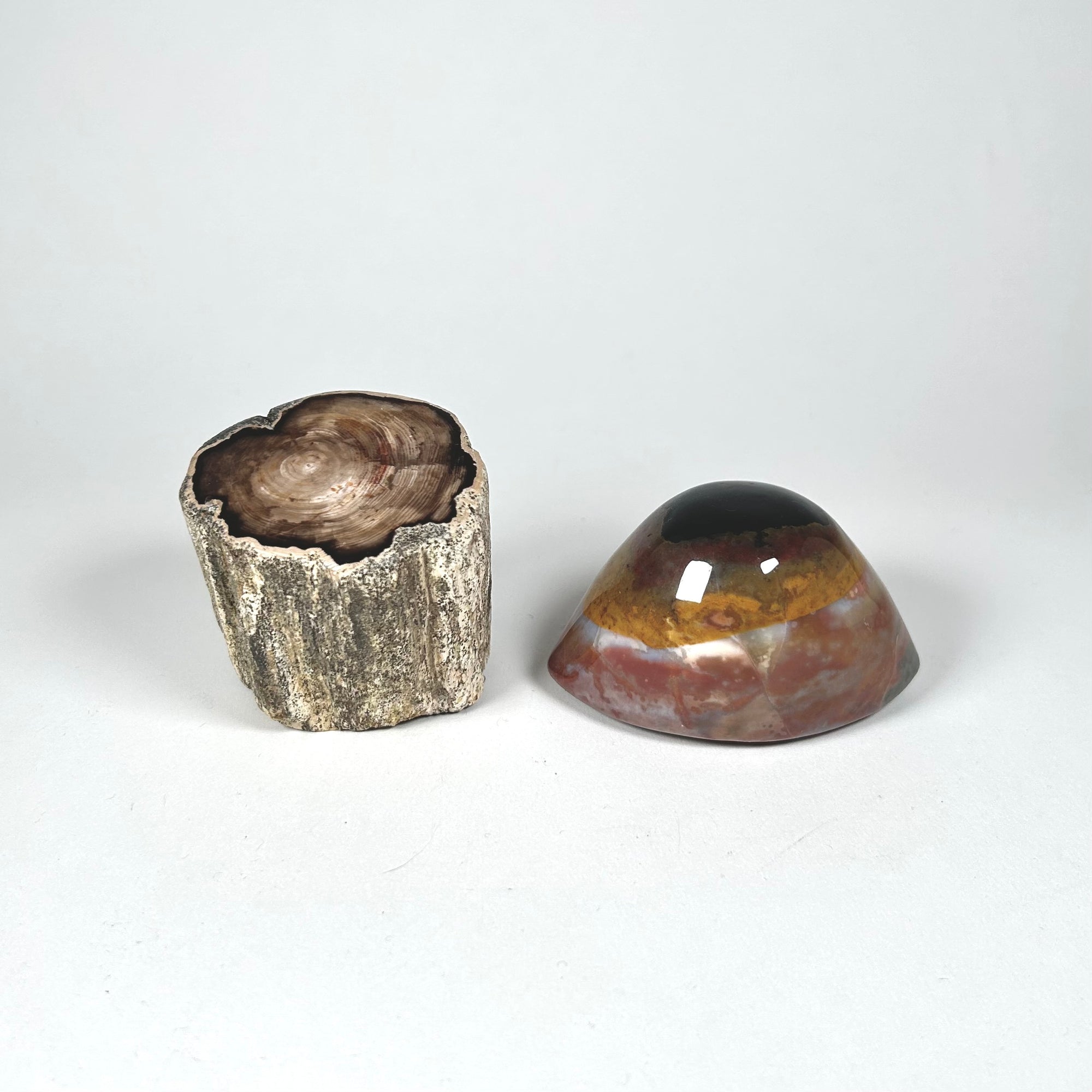 Petrified Wood Stump and Banded Agate Specimen Paperweight Set