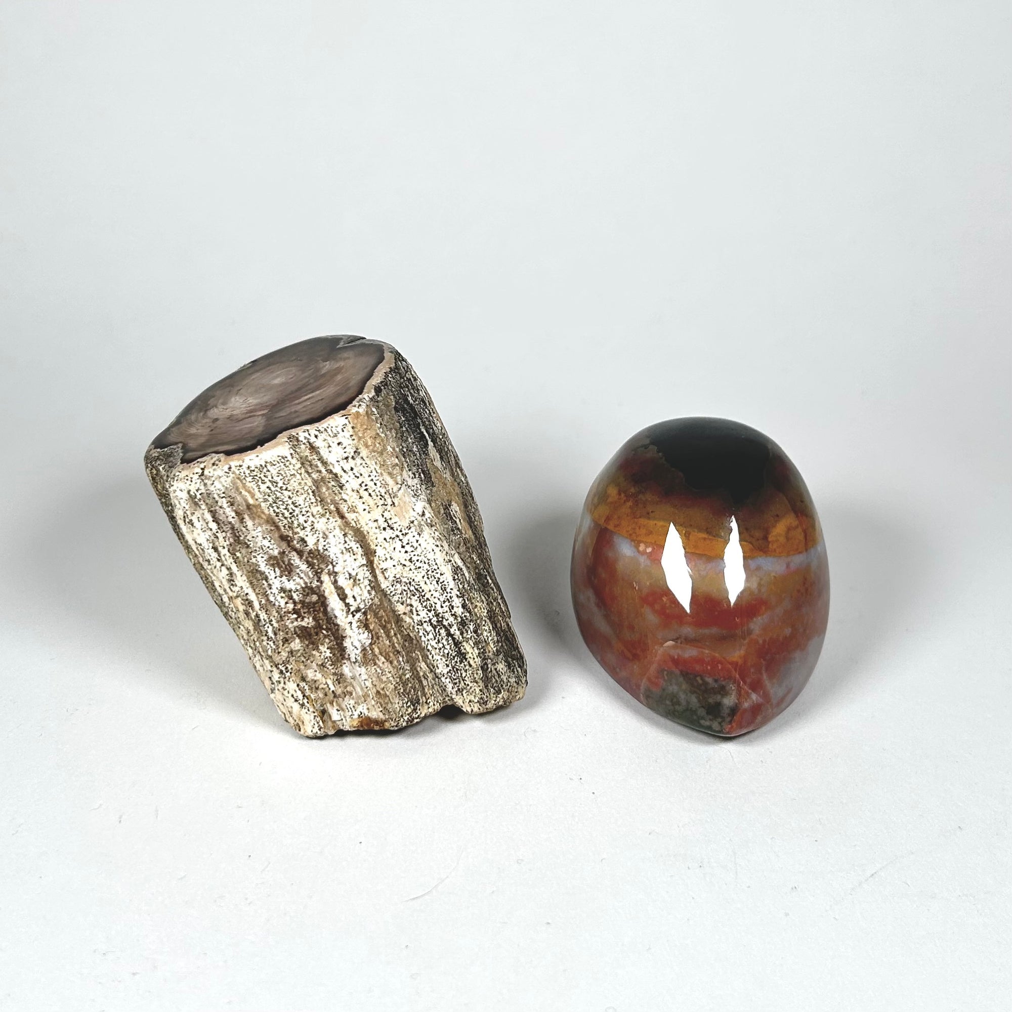 Petrified Wood Stump and Banded Agate Specimen Paperweight Set