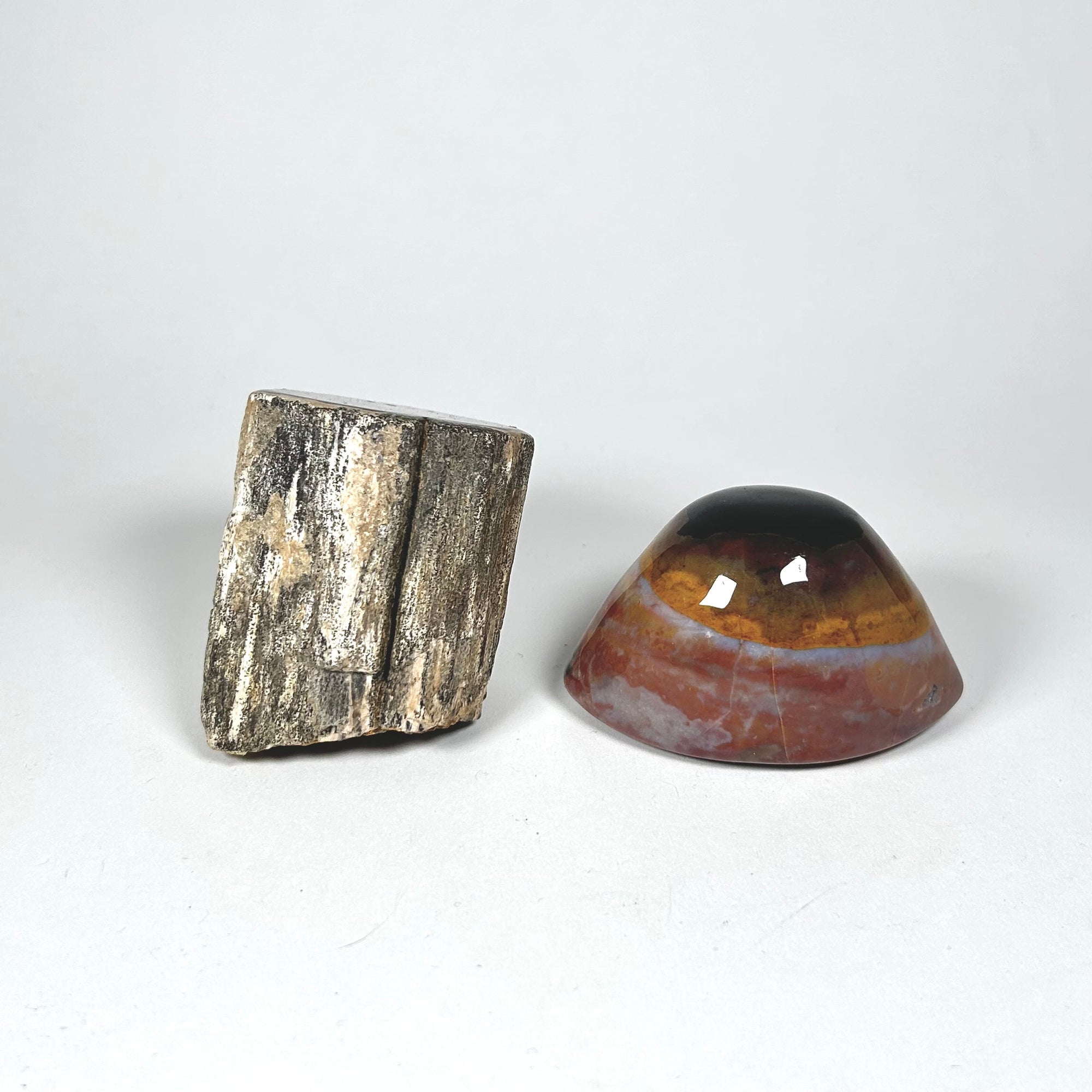 Petrified Wood Stump and Banded Agate Specimen Paperweight Set
