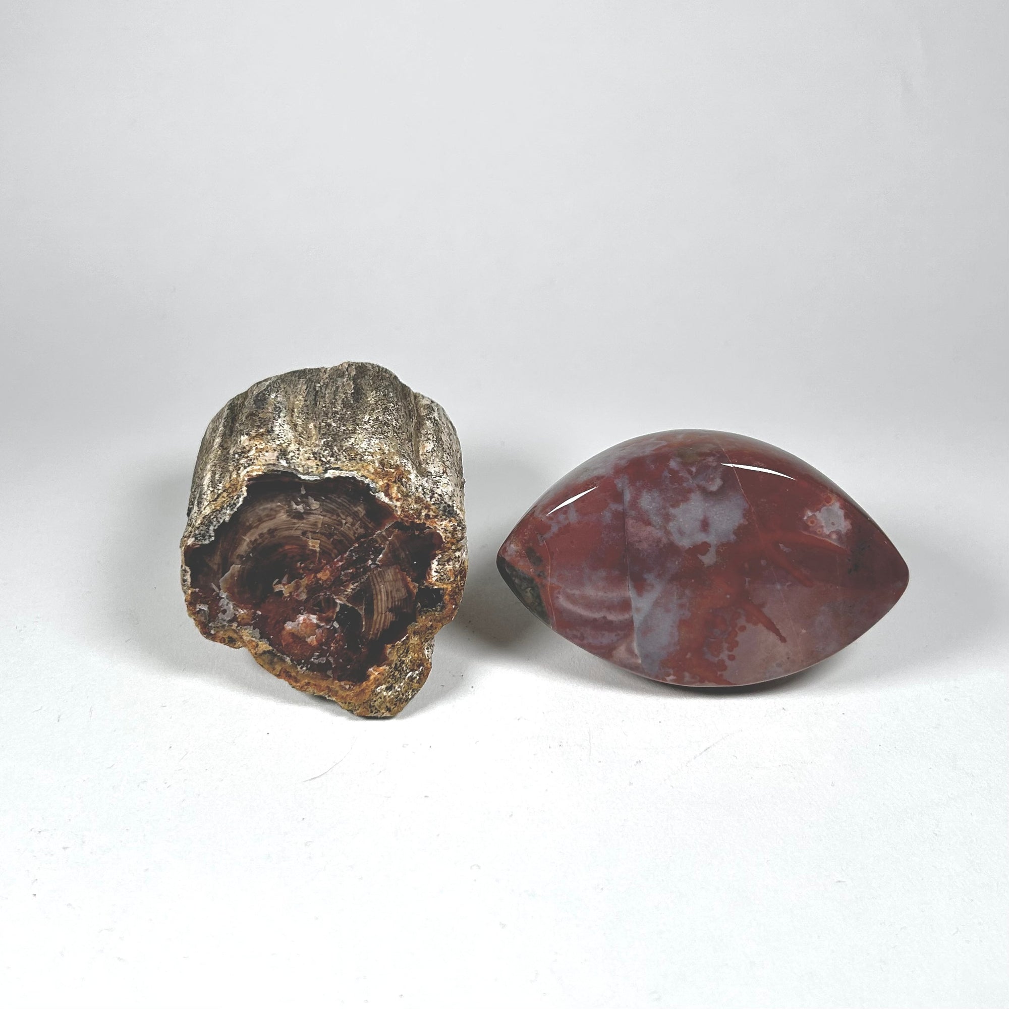 Petrified Wood Stump and Banded Agate Specimen Paperweight Set