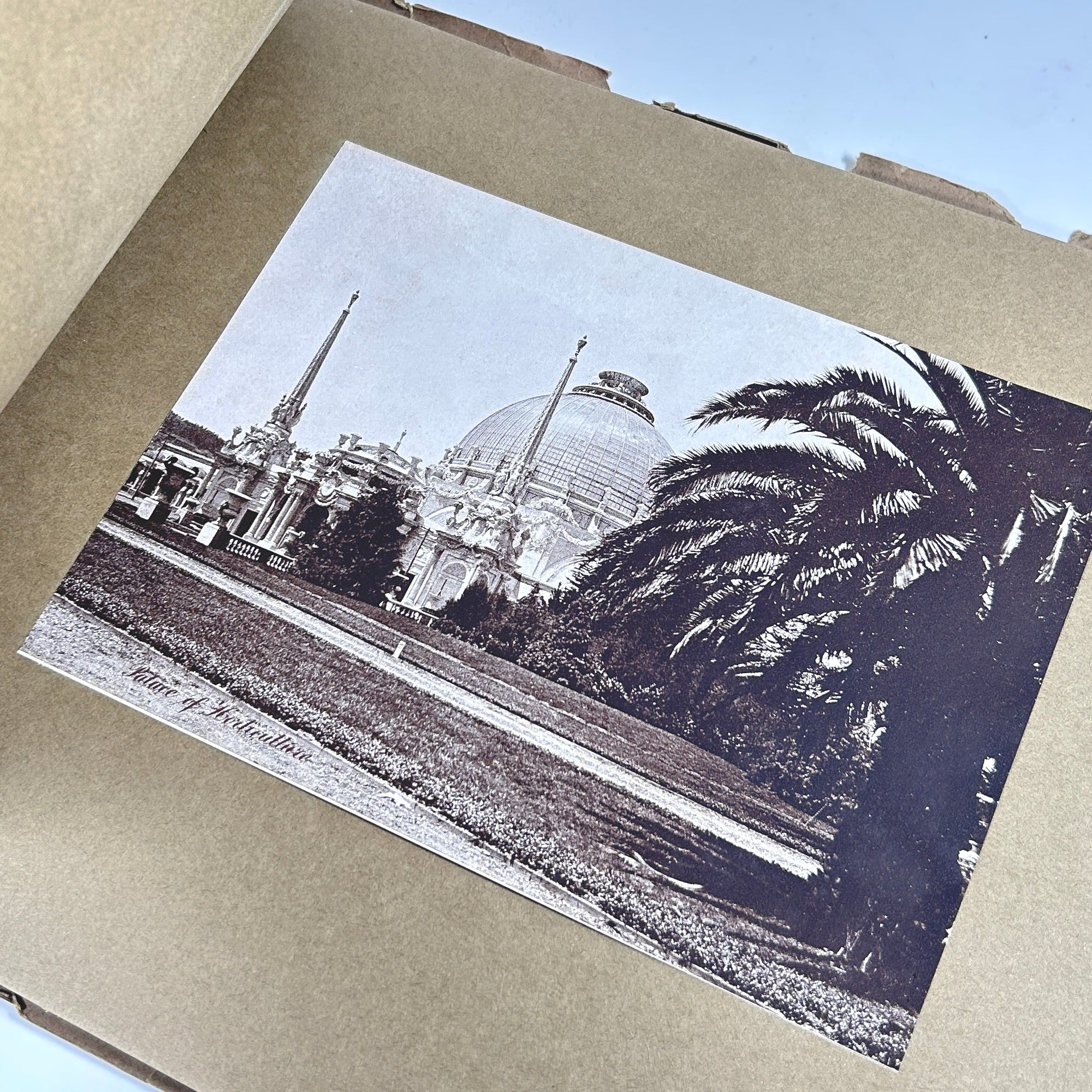 The Pan-Pacific International Exposition 1915 Sepiatones Robert A. Reid Album