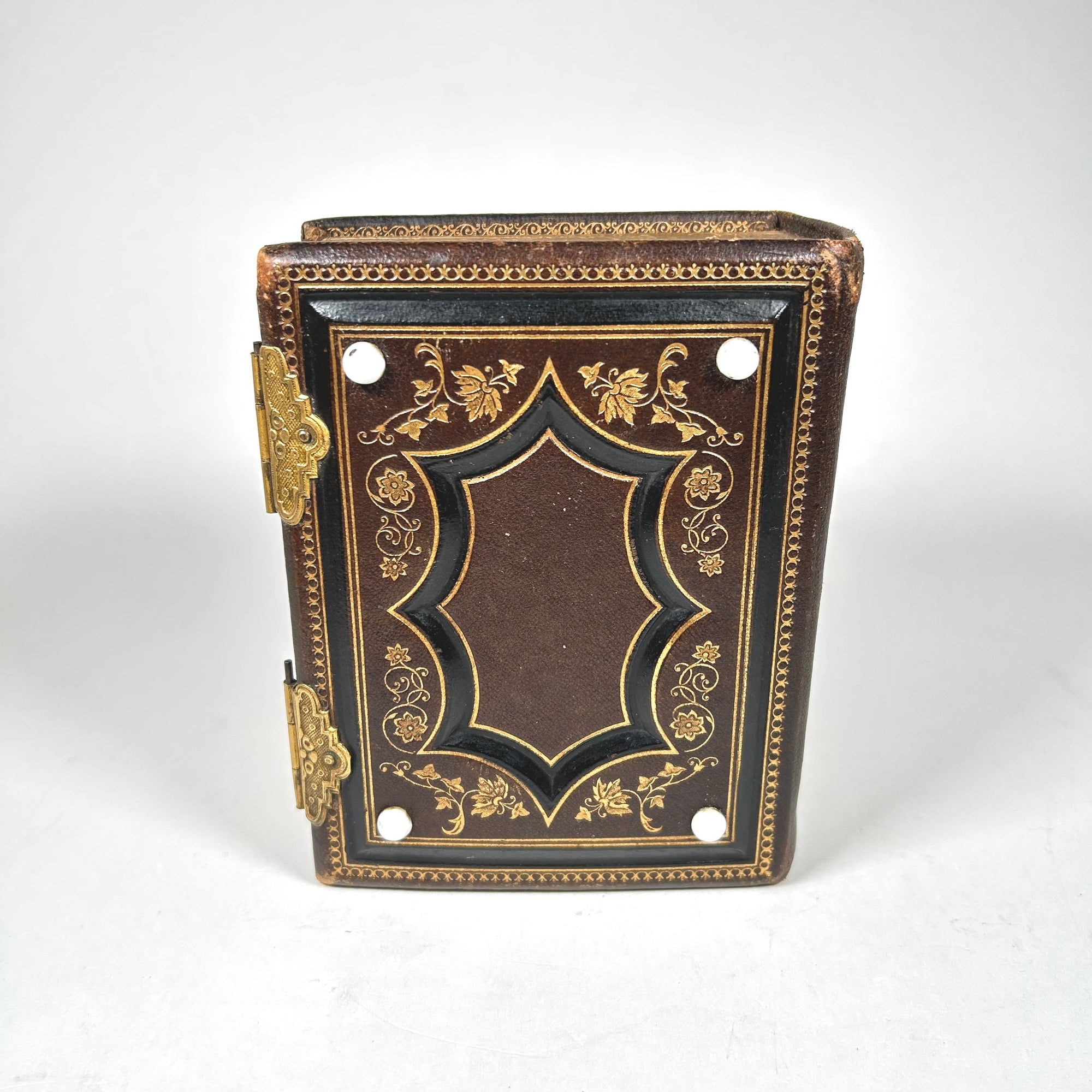 Victorian Photo Album Filled with Tintypes, Photos, and Carte de Visite